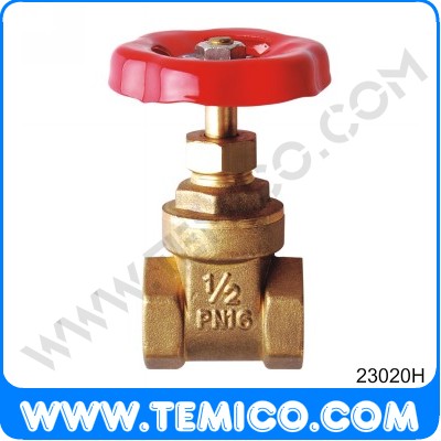 Gate valve (23020H)