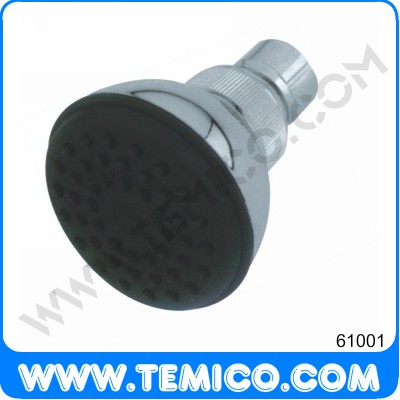 Overhead shower (61001)