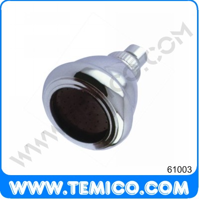 Overhead shower (61003)