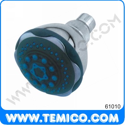 Overhead shower (61010)