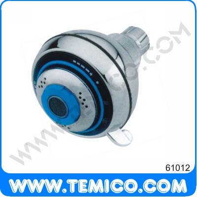 Overhead shower (61012)