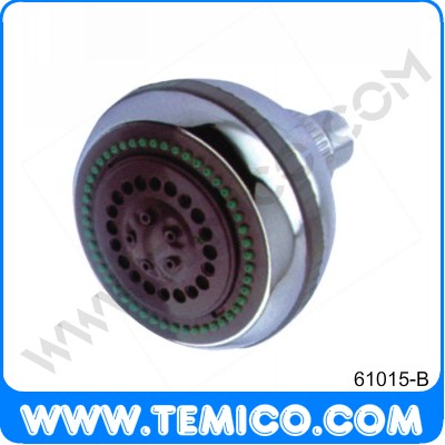 Overhead shower (61015-B)