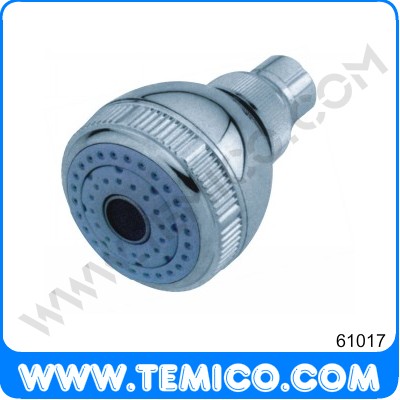 Overhead shower (61017)