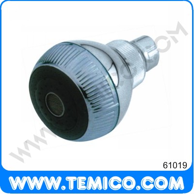 Overhead shower (61019)