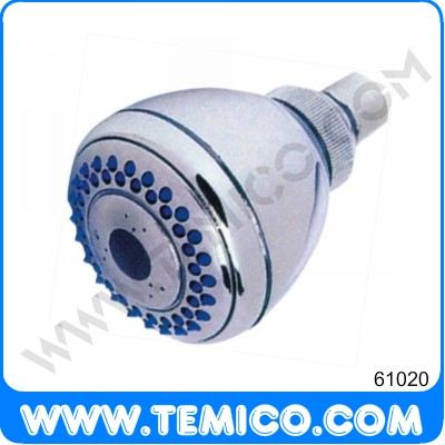 Overhead shower (61020)