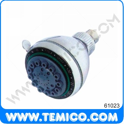 Overhead shower (61023)