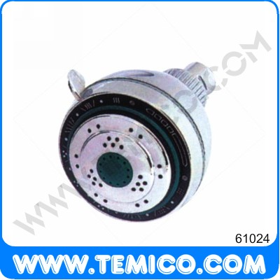 Overhead shower (61024)