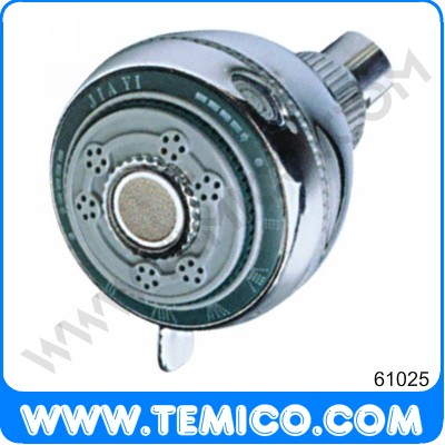 Overhead shower (61025)