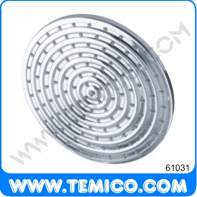 Overhead shower (61031)