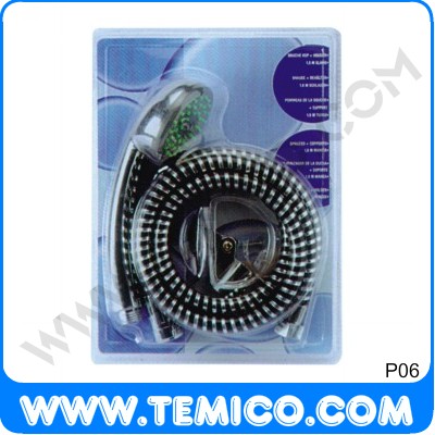 Package (P06)