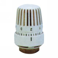 Thermostatic head (25004)